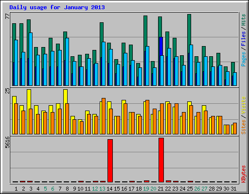 Daily usage for January 2013