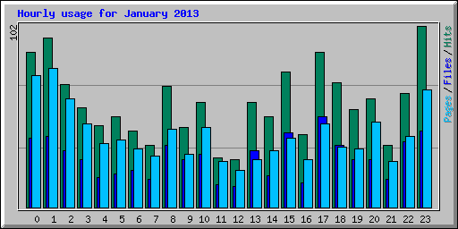 Hourly usage for January 2013