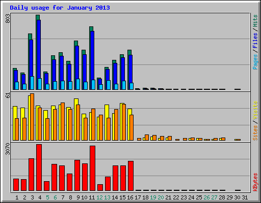 Daily usage for January 2013