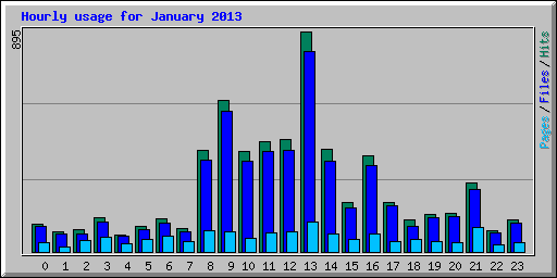 Hourly usage for January 2013