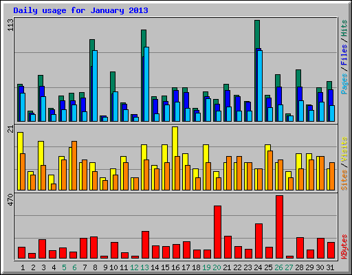 Daily usage for January 2013