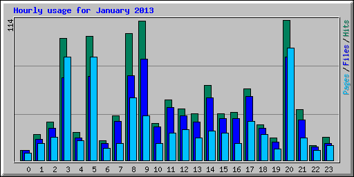 Hourly usage for January 2013