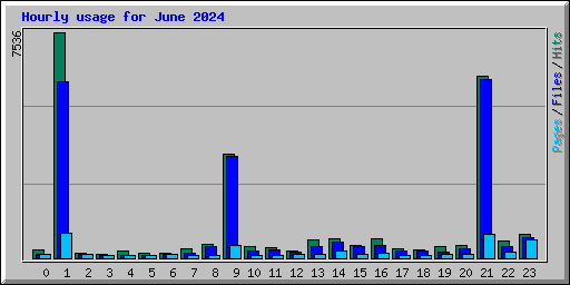 Hourly usage for June 2024