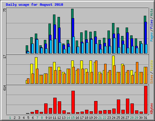 Daily usage for August 2010