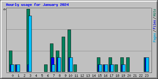 Hourly usage for January 2024