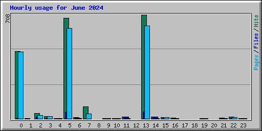 Hourly usage for June 2024