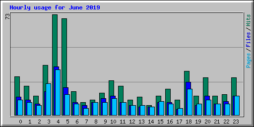 Hourly usage for June 2019