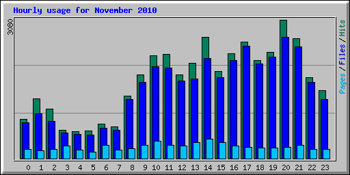 Hourly usage for November 2010