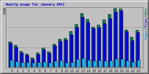 Hourly usage for January 2011