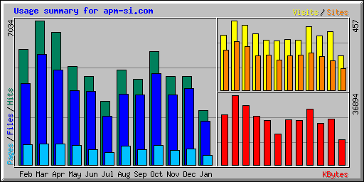 Usage summary for apm-si.com