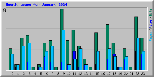 Hourly usage for January 2024