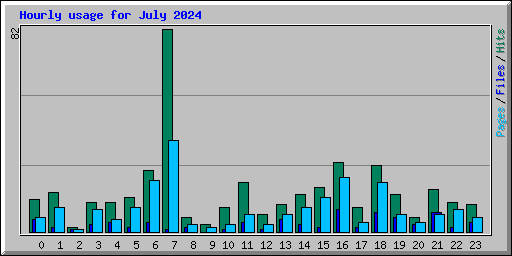 Hourly usage for July 2024